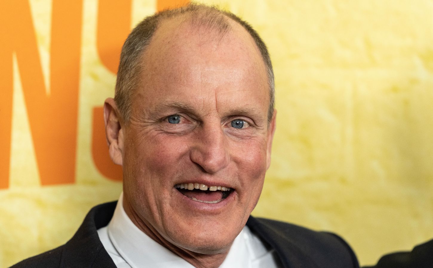 Photo shows Woody Harrelson. Woody Harrelson has said that the “number one” thing that people can do to help the planet is with “a change of diet.”