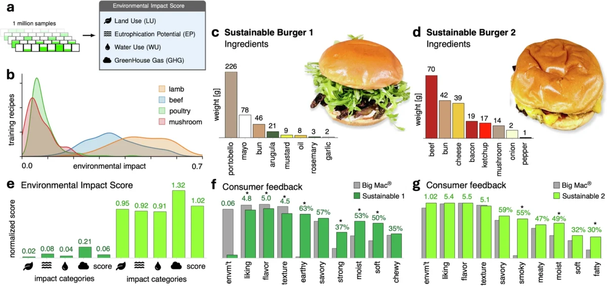 Photo shows an illustration from a new study that found generative AI can help create more delicious, sustainable, and nutritious burgers, including plant-based options
