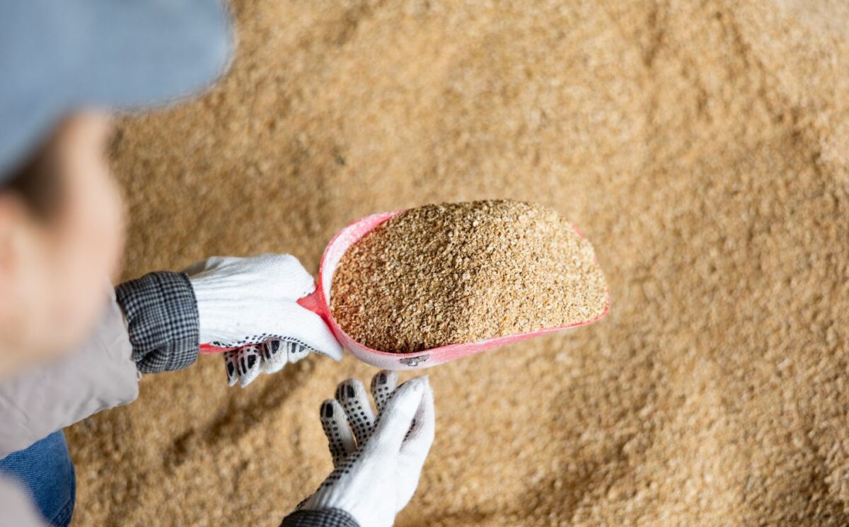 Photo shows a farmer scooping up animal feed. The European Commission (EC) has announced a Protein Action Plan that prioritizes plant-based proteins for livestock animals, not humans. Animal feed often includes plant proteins like soy, which can be used to make nutritious, sustainable foods for human consumption
