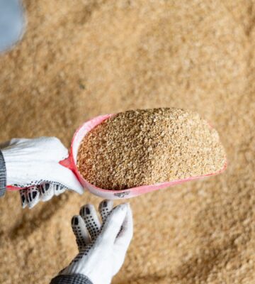 Photo shows a farmer scooping up animal feed. The European Commission (EC) has announced a Protein Action Plan that prioritizes plant-based proteins for livestock animals, not humans. Animal feed often includes plant proteins like soy, which can be used to make nutritious, sustainable foods for human consumption
