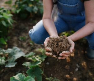 Photo shows a woman in overalls bending down and holding a handful of soil. New research has found a widening “credibility gap” between the regenerative farming claims made by the world’s biggest food companies and reality