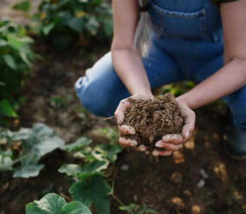 Photo shows a woman in overalls bending down and holding a handful of soil. New research has found a widening “credibility gap” between the regenerative farming claims made by the world’s biggest food companies and reality