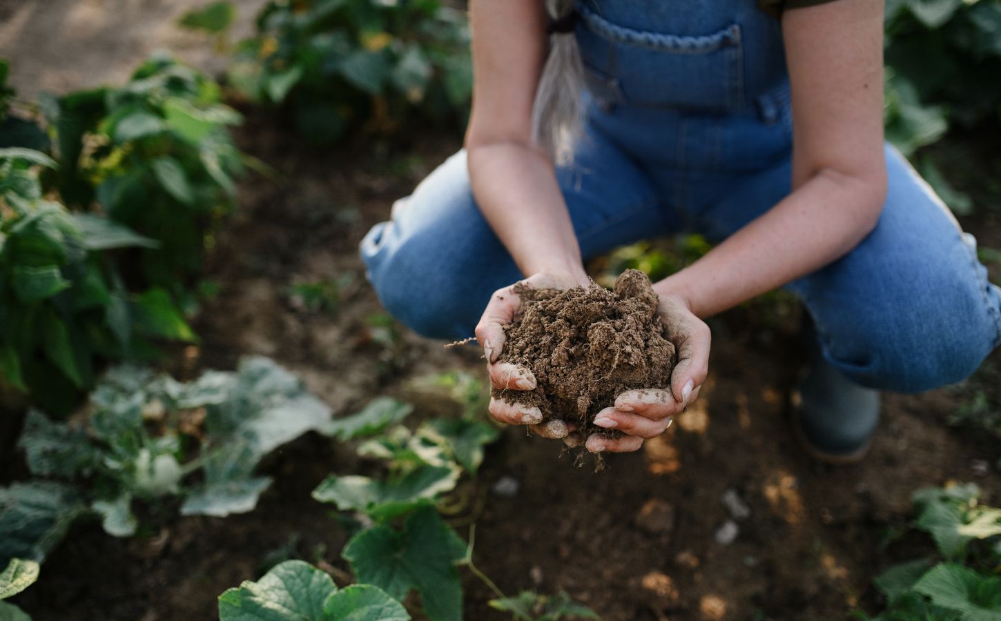 Photo shows a woman in overalls bending down and holding a handful of soil. New research has found a widening “credibility gap” between the regenerative farming claims made by the world’s biggest food companies and reality