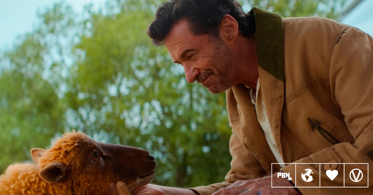 ‘The Sheep Detectives’: New Hugh Jackman Film Has An Animal Rights Message