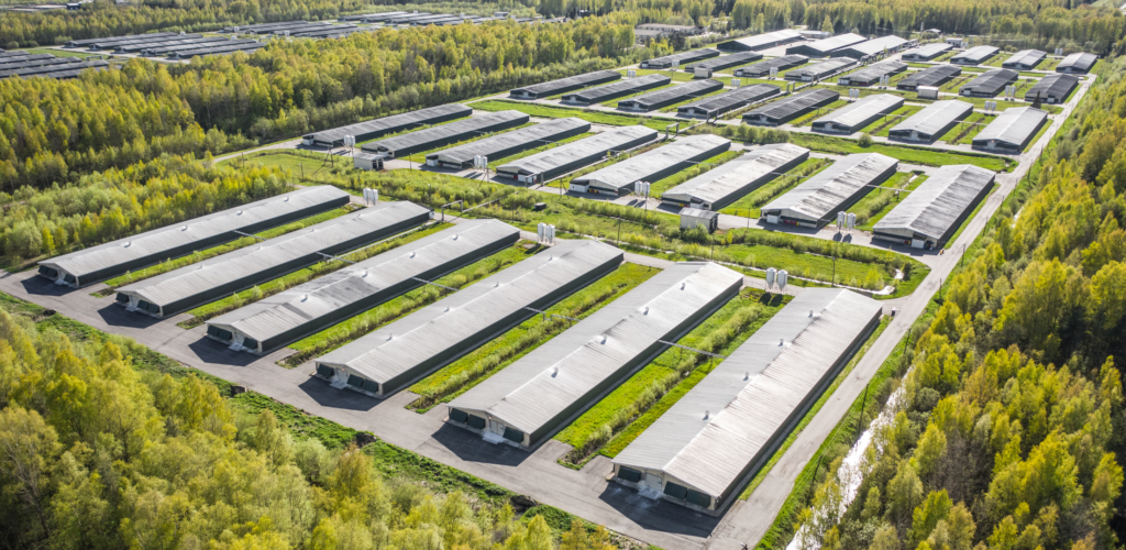 Photo shows some of the barns on the 1100 Farm in Radcliffe, Iowa, a former pig farm that has been transformed into a speciality mushroom growing operation by The Transfarmation Project
