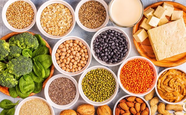 Vegan protein sources including tofu, legumes, nuts, and seeds arranged together, to illustrate article on how eating less protein can boost health and longevity