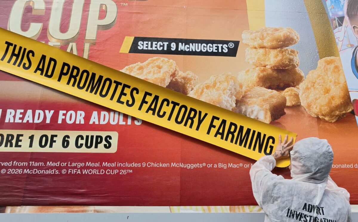 Photo shows one of the recent street "stunts" from Adfree Cities, where activists attached signs to advertisements highlighting the link between the company or product and harmful factory farming. The new “Gag Big Ag” campaign from Adfree Cities has called for a UK-wide ban on adverts that promote factory farming, meat, and dairy