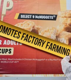 Photo shows one of the recent street "stunts" from Adfree Cities, where activists attached signs to advertisements highlighting the link between the company or product and harmful factory farming. The new “Gag Big Ag” campaign from Adfree Cities has called for a UK-wide ban on adverts that promote factory farming, meat, and dairy