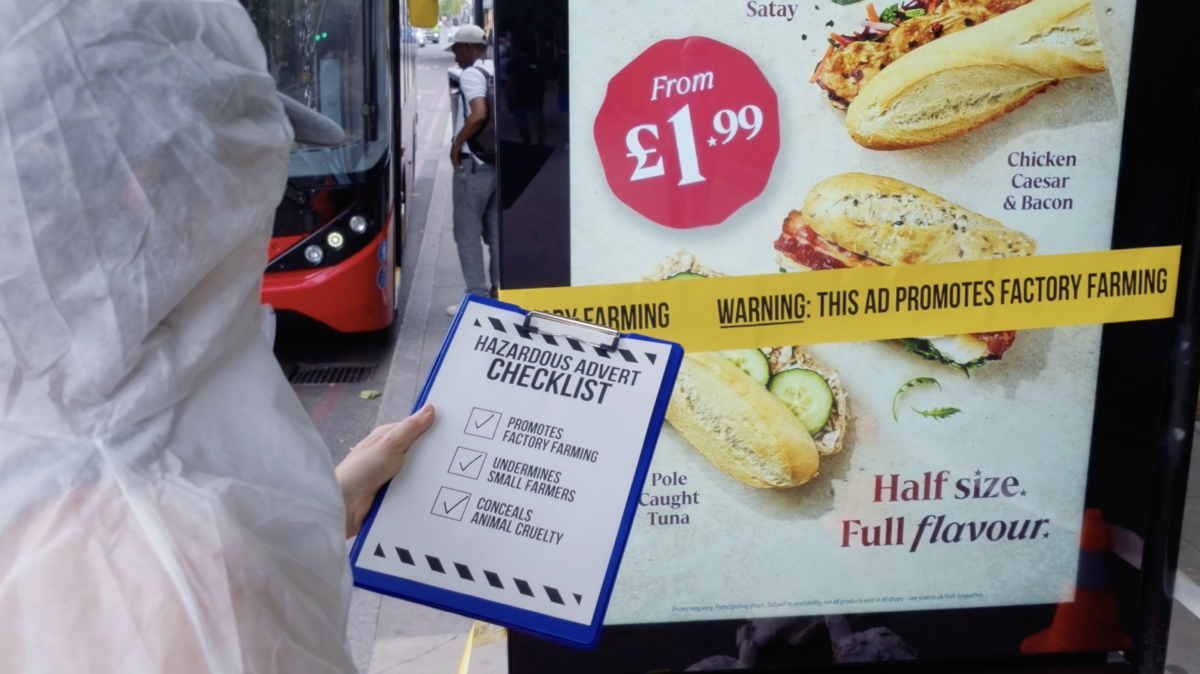 Photo shows one of the recent street "stunts" from Adfree Cities, where activists attached signs to advertisements highlighting the link between the company or product and harmful factory farming. The new “Gag Big Ag” campaign from Adfree Cities has called for a UK-wide ban on adverts that promote factory farming, meat, and dairy