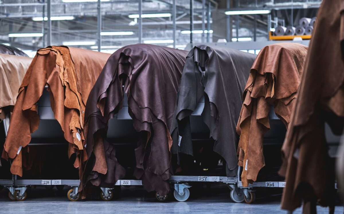 Photo shows layers of animal hides draped in a factory setting. Animal leather emits over 1,100 percent more emissions than vegan leather, according to a new study