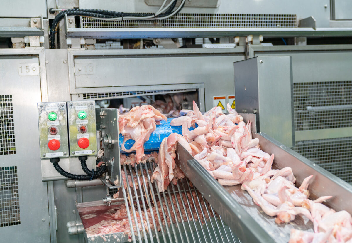 Photo shows chicken wings being forced out of an automated cutting machine, making a bloody mess on the metal below. A new report has found that just three companies have “almost complete market domination” of the UK poultry supply