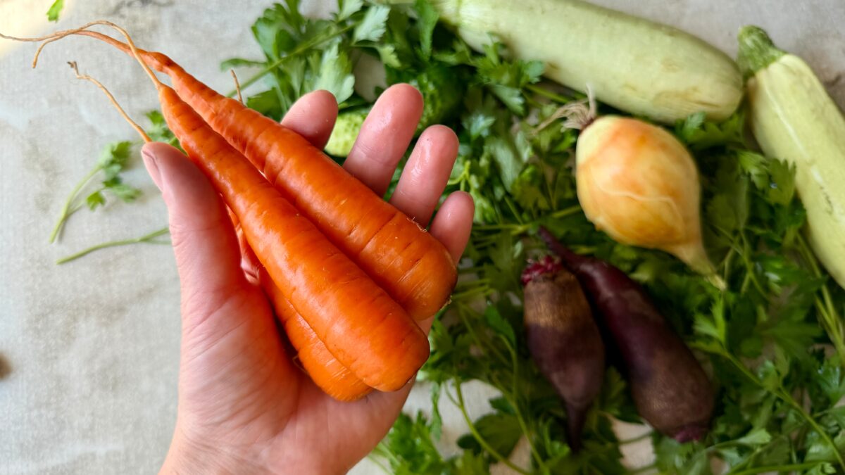 Photo shows someone's hand holding a bunch of carrots above a selection of fresh vegetables. According to a new study, global uptake of plant-rich diets within a full transformation scenario could reduce emissions by 76 percent
