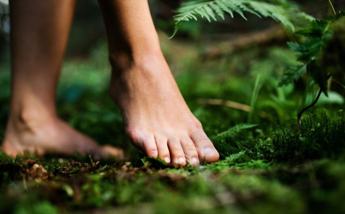 Photo shows a woman walking barefoot through a lush green forest. Portugal’s Buçaco National Forest has been certified as the world’s fourth “therapeutic forest.”