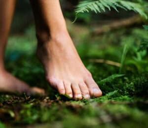 Photo shows a woman walking barefoot through a lush green forest. Portugal’s Buçaco National Forest has been certified as the world’s fourth “therapeutic forest.”