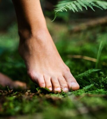 Photo shows a woman walking barefoot through a lush green forest. Portugal’s Buçaco National Forest has been certified as the world’s fourth “therapeutic forest.”