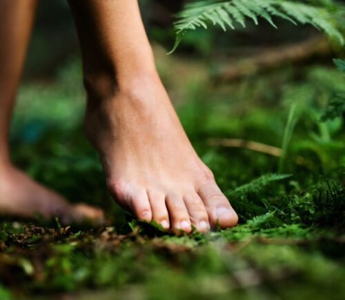 Photo shows a woman walking barefoot through a lush green forest. Portugal’s Buçaco National Forest has been certified as the world’s fourth “therapeutic forest.”