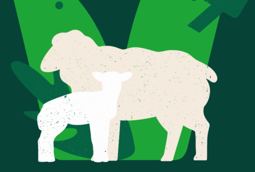 Image is a graphic of a sheep and a lamb on a green background by the Vegetarian Society for Love Lamb Week