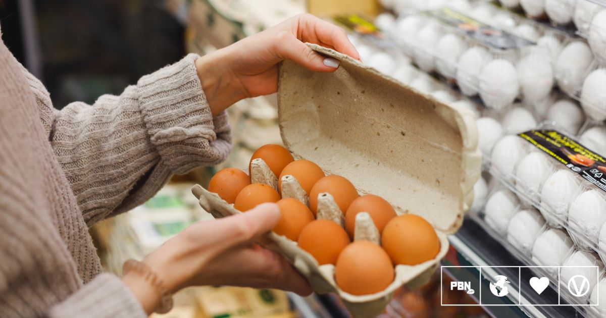 One Dead And Hundreds Ill As UKHSA Declares National Salmonella Outbreak