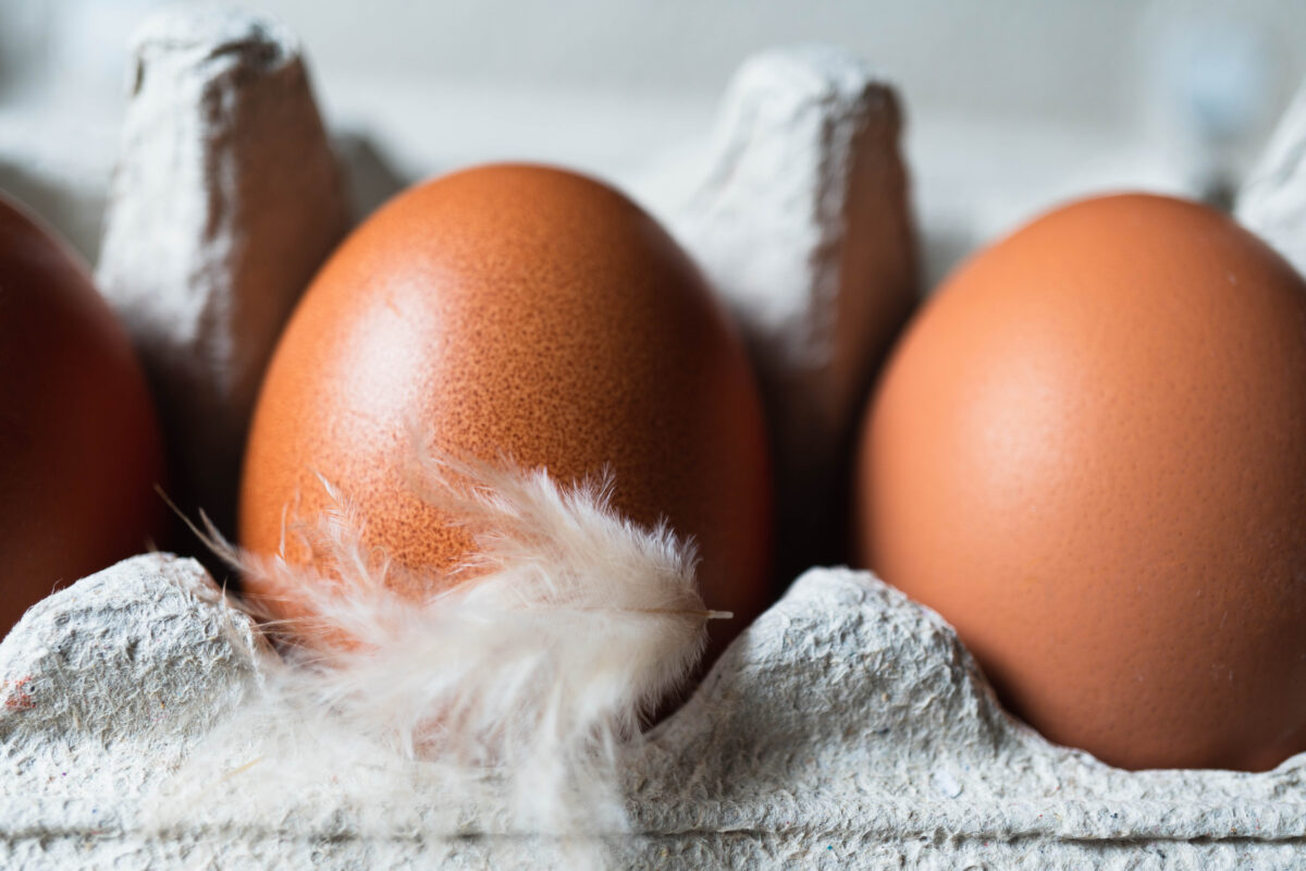 Photo shows two eggs in a cardboard carton with a feather stuck to it. The UK Health Security Agency (UKHSA) has declared a national salmonella outbreak after one person died and hundreds became ill