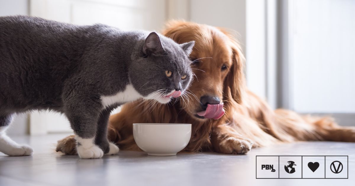 Study Finds Vegan Diets Are 'Well-Digested' By Both Dogs And Cats