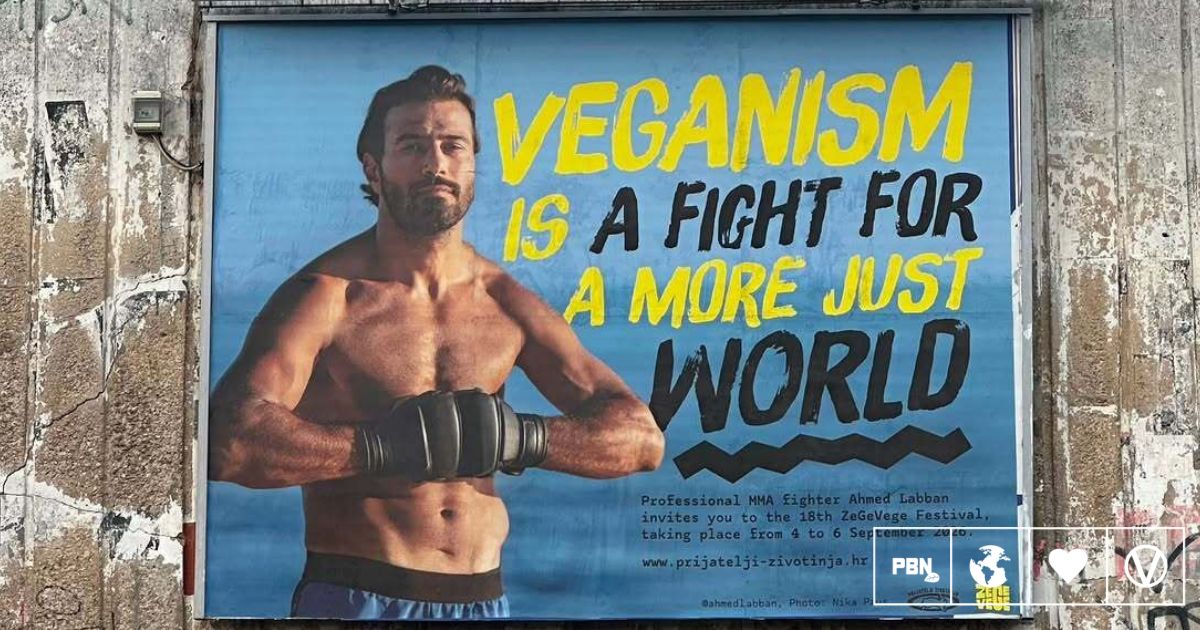 ‘Veganism Is A Fight For A More Just World,’ Says Vegan MMA Fighter
