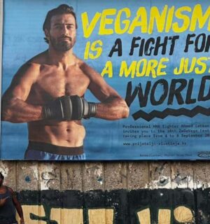 Photo shows vegan MMA fighter Ahmed Labban posing next to a billboard that features him and advertises ZeGeVege Festival, an upcoming vegetarian event