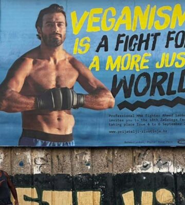Photo shows vegan MMA fighter Ahmed Labban posing next to a billboard that features him and advertises ZeGeVege Festival, an upcoming vegetarian event