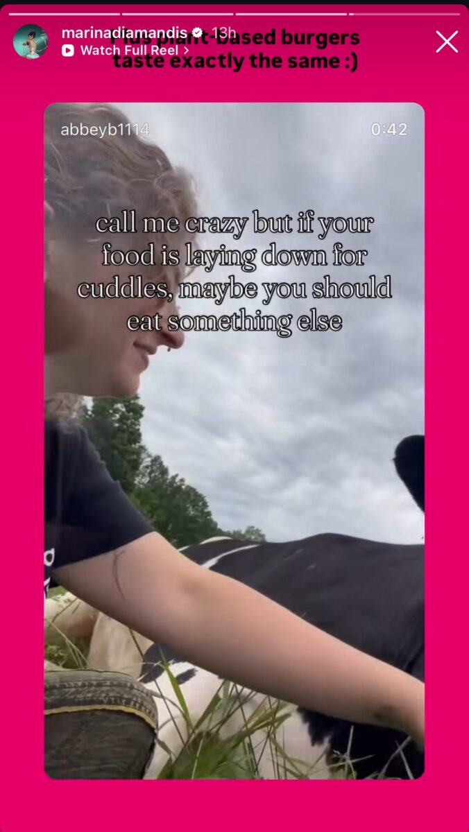 Image is an Instagram screengrab taken from Marina Diamandis's social media account. Marina Diamandis has shared a post on social media in support of animal rights and plant-based foods, but is she vegan?