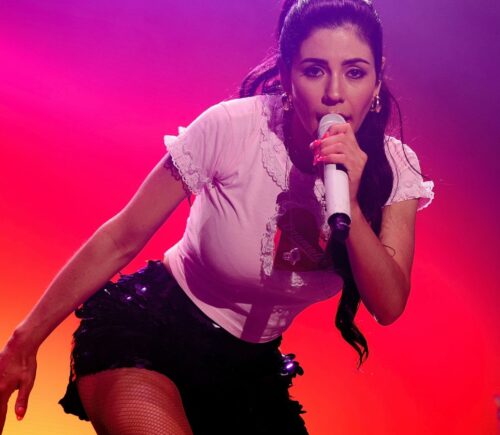 Photo shows Marina Diamandis performing at a music festival. Marina Diamandis has shared a post on social media in support of animal rights and plant-based foods, but is she vegan?