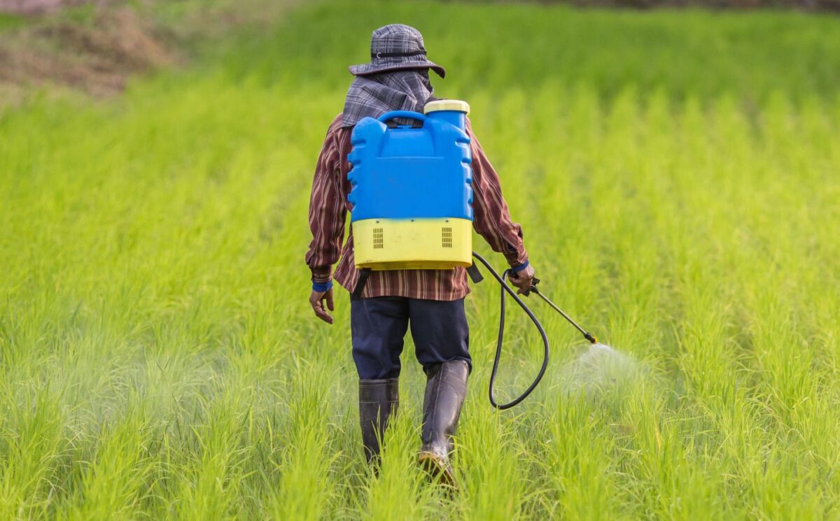Photo shows a farmer spraying pesticides from a large container mounted on his back. A new study has found that pesticides poison nearly half of farmers worldwide every year
