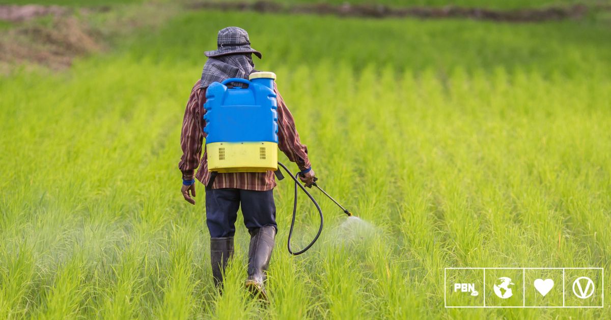 Pesticides Poison Nearly Half Of Farmers Every Year, Finds Study