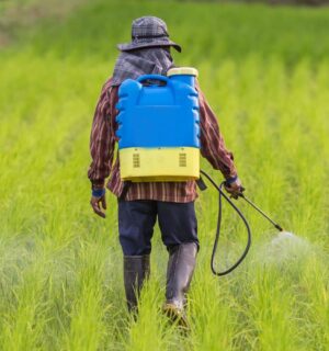 Photo shows a farmer spraying pesticides from a large container mounted on his back. A new study has found that pesticides poison nearly half of farmers worldwide every year