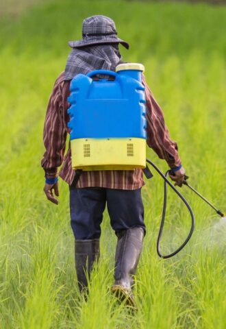 Photo shows a farmer spraying pesticides from a large container mounted on his back. A new study has found that pesticides poison nearly half of farmers worldwide every year