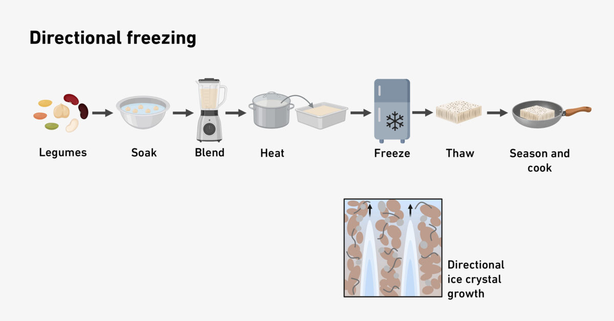 Image is an illustrated diagram of the method for freezing legumes and beans to texturize the protein. You can turn lentils into a texturized protein similar to fake meat with a simple method that has been around for hundreds of years