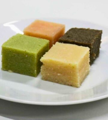 Photo shows four different colored cubes of plant-based protein made by the team of scientists using directional freezing. You can turn lentils into a texturized protein similar to fake meat with a simple method that has been around for hundreds of years