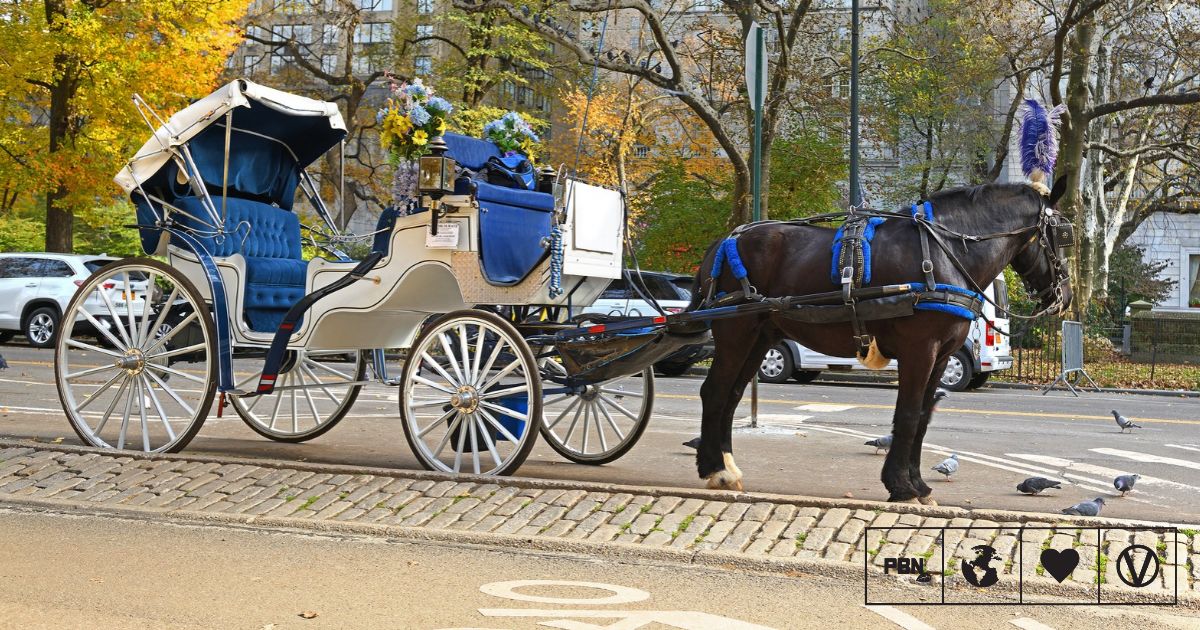 New York City Expected To Ban Horse-Drawn Carriages From 2028