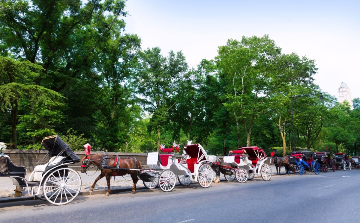 Photo shows a row of horse-drawn carriages in Central Park, New York City (NYC). New York City is expected to ban horse-drawn carriages from June 2028