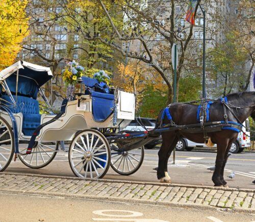 Photo shows a horse-drawn carriage in Central Park, New York City (NYC). New York City is expected to ban horse-drawn carriages from June 2028