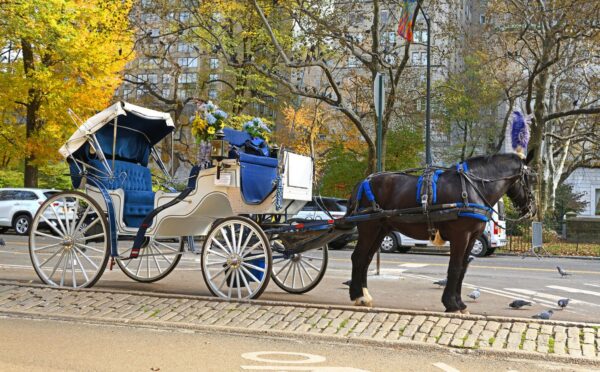 Photo shows a horse-drawn carriage in Central Park, New York City (NYC). New York City is expected to ban horse-drawn carriages from June 2028