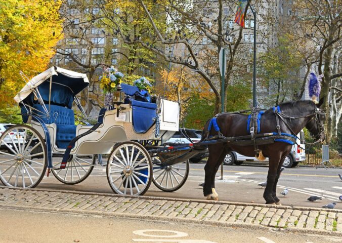 Photo shows a horse-drawn carriage in Central Park, New York City (NYC). New York City is expected to ban horse-drawn carriages from June 2028