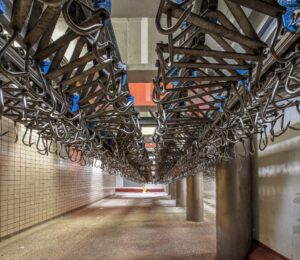 Photo shows hundreds of empty steel hooks in a run down slaughterhouse, also known as an abattoir. The number of UK abattoirs has declined by approximately 92 percent since the 1970s - here's why that's bad for animals