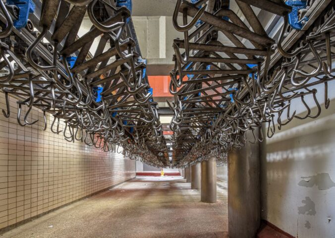 Photo shows hundreds of empty steel hooks in a run down slaughterhouse, also known as an abattoir. The number of UK abattoirs has declined by approximately 92 percent since the 1970s - here's why that's bad for animals